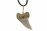 Fossil Mako Tooth Necklace - Bakersfield, California #95244-1